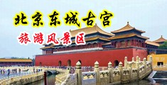 日B女日BBBTV视频中国北京-东城古宫旅游风景区